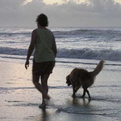 Homefront Services Pet Care - Your pets vacation