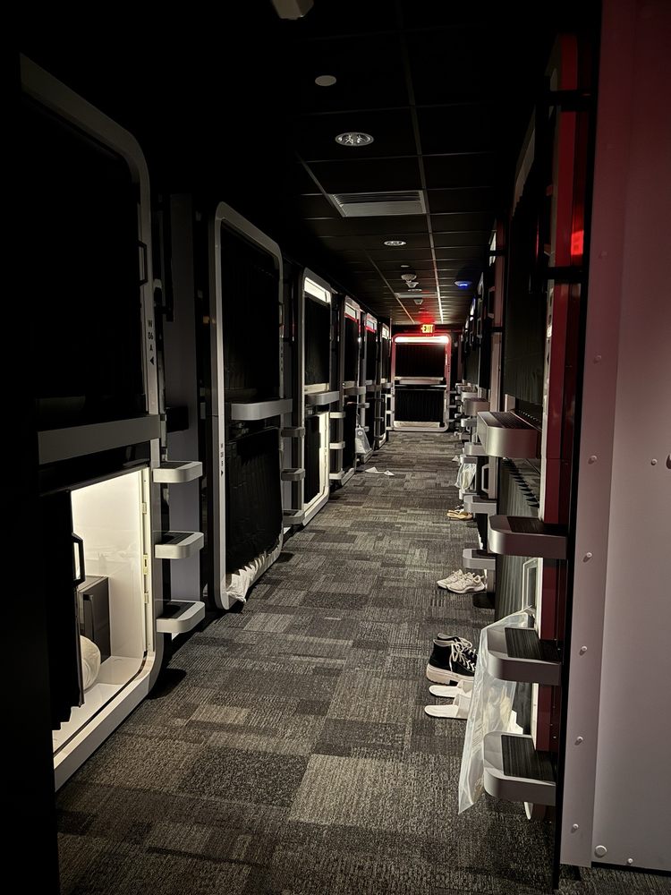 First Cabin International