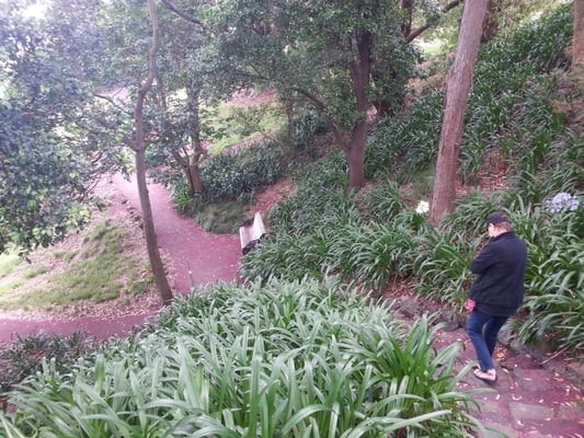 Dove Myer Robinson Park (Parnell Rose Garden) by null