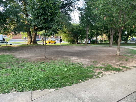 Penrose Park by null