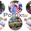 Pollux gift card