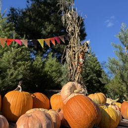 Pretty pumpkins, walking trails, and photo ops!