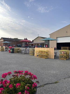 Archie's Lobster by null