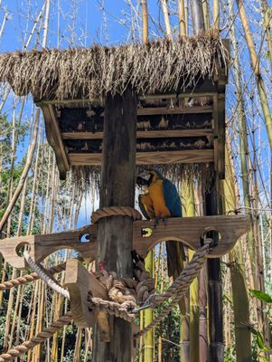 Audubon Zoo by null