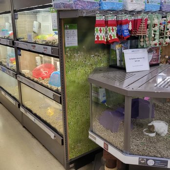 Petco - Pet Training Near Me - Brick, New Jersey