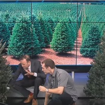 Cincy Evergreens - Cincy Evergreens' founder Andrew Bosserman on Fox19 Morning Show - Christmas Trees Near Me Cincy Evergreens - Cincy Evergreens' founder Andrew Bosserman on Fox19 Morning Show - Christmas Trees Near Me