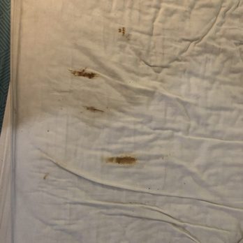 Motel 6 - Nasty bed sheets - Hotels Near Me - Fort Bragg, California Motel 6 - Nasty bed sheets - Hotels Near Me - Fort Bragg, California