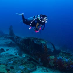Ultimate Dive Travel - Ultimate Dive Travel Vacation