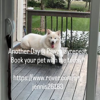 Pawz Play Repeat - Pet Boarding Near Me - Cedar Falls, Iowa Pawz Play Repeat - Pet Boarding Near Me - Cedar Falls, Iowa