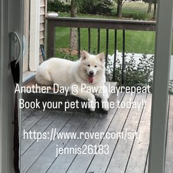 Pawz Play Repeat