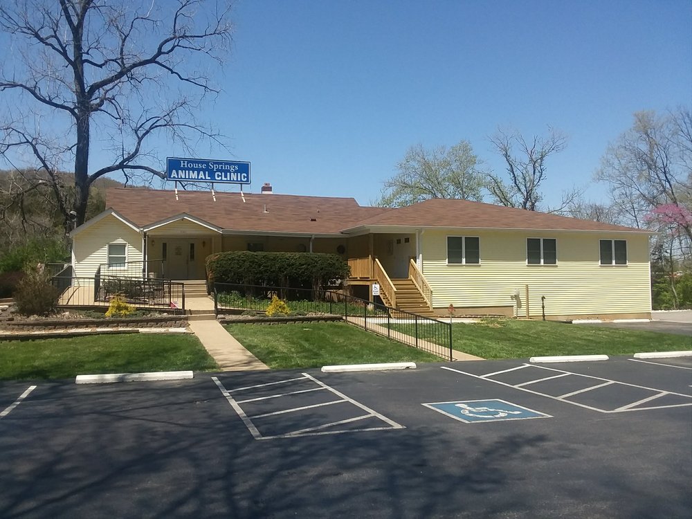 HOUSE SPRINGS ANIMAL CLINIC Updated October 2024 10 Photos 4561