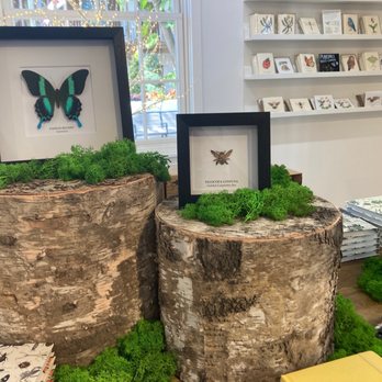 Hive & Homestead by Stubbees - Home Decor Near Me - St. Augustine, Florida Hive & Homestead by Stubbees - Home Decor Near Me - St. Augustine, Florida