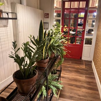 Praktik Garden - Floor 0 plants - Hotels Near Me - Barcelona, B Praktik Garden - Floor 0 plants - Hotels Near Me - Barcelona, B
