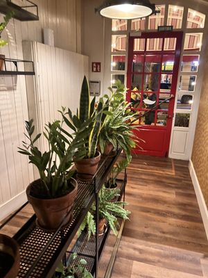 Praktik Garden by null