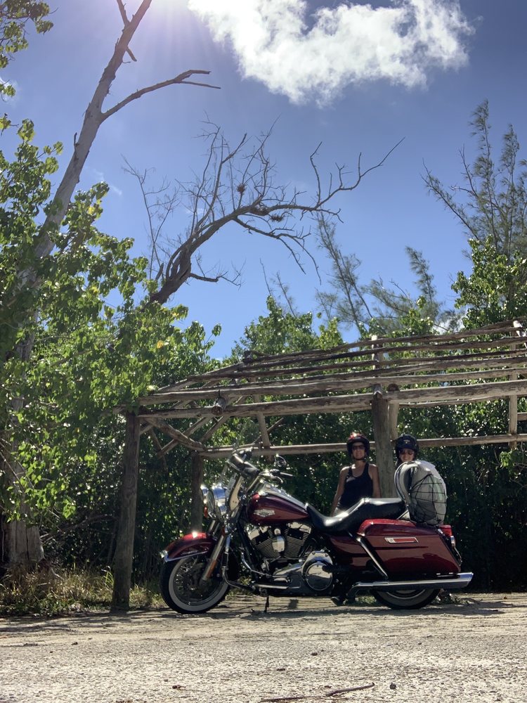 HAUS OF TRIKES & BIKES Updated September 2024 82 Photos & 21