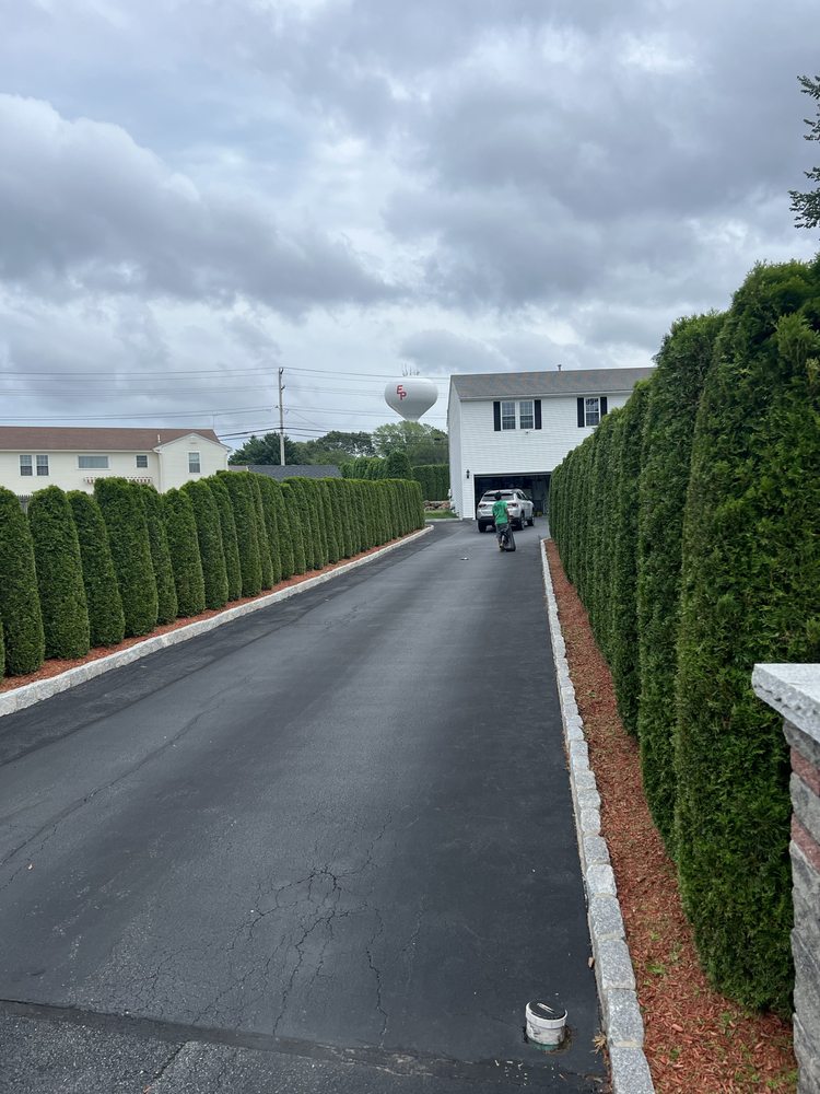 MT Landscaping - tree service in Providence, RI
