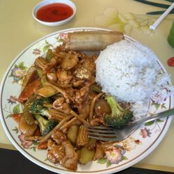 China Wok - Garlic Chicken lunch-yummy!