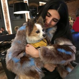 Dog-friendly at the bar. Dog-friendly at the bar.