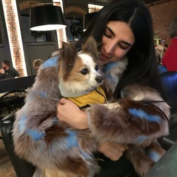The Charmant Hotel - Dog-friendly at the bar. - Hotels Near Me - La Crosse, Wisconsin The Charmant Hotel - Dog-friendly at the bar. - Hotels Near Me - La Crosse, Wisconsin