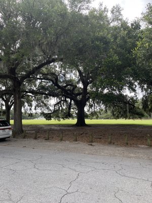 Daffin Park by null