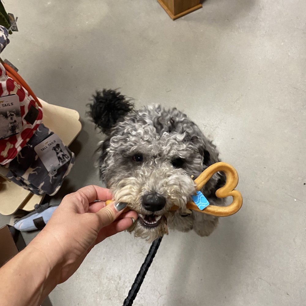 Kiska loves the treat selections! Kiska loves the treat selections!