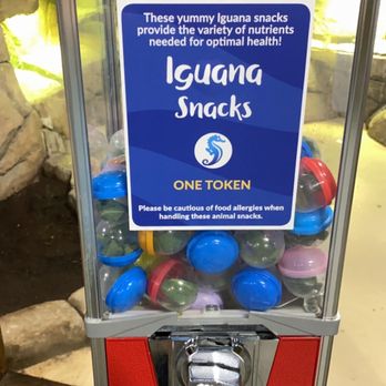 SeaQuest - Folsom - Vending machines with animal food - Aquariums Near Me - Folsom, California SeaQuest - Folsom - Vending machines with animal food - Aquariums Near Me - Folsom, California