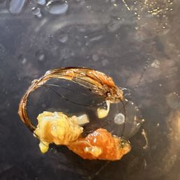 DISGUSTING HAIR BALL found in food!!! DISGUSTING HAIR BALL found in food!!!