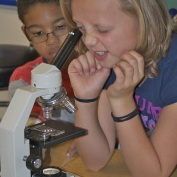 Redwood Day - Redwood Day science lesson - Elementary Schools Near Me - Oakland, California