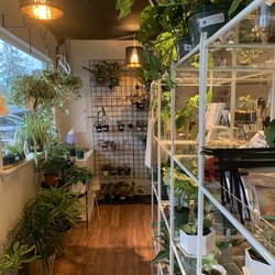 Jade & Company Succulent Boutique - Cute shop!