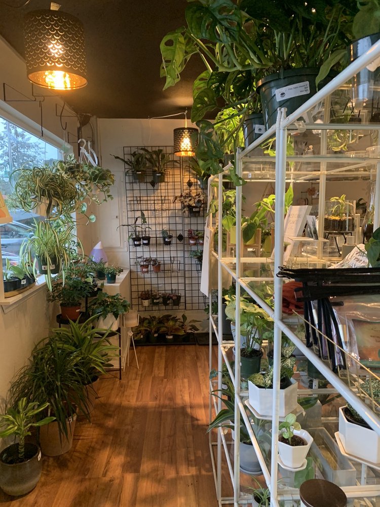 JADE & COMPANY SUCCULENT BOUTIQUE Updated October 2024 25 Photos