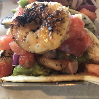 Wolfies Grill - Closeup of taco - American Near Me - Carmel, Indiana Wolfies Grill - Closeup of taco - American Near Me - Carmel, Indiana