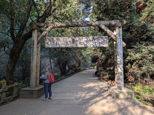 Dylan's Tours by null