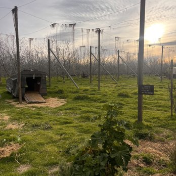 Ruhstaller Farm - Beautiful place to enjoy sunset - Breweries Near Me - Dixon, California Ruhstaller Farm - Beautiful place to enjoy sunset - Breweries Near Me - Dixon, California