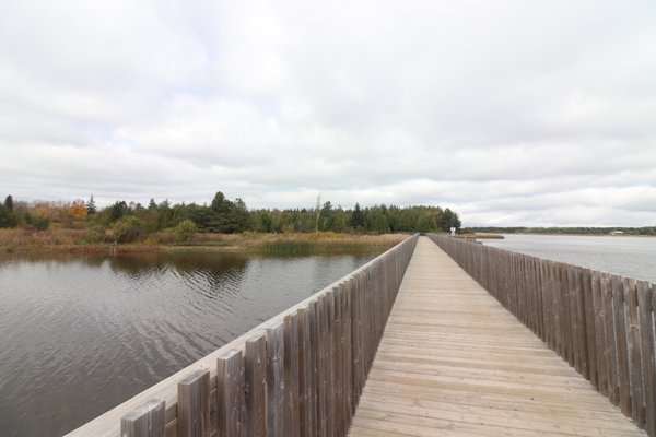 Island Lake Conservation Area by null