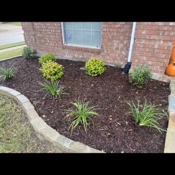 MRZ Contracting - Fixed the front bed too - thanks!! - Landscape Architects or Designers Near Me - Lewisville, Texas MRZ Contracting - Fixed the front bed too - thanks!! - Landscape Architects or Designers Near Me - Lewisville, Texas