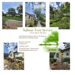 Salinas Tree Service - Roof damage and foundation stump will be next.