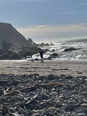 Bowling Ball Beach Trailhead by null