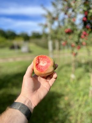 Two K Farms Cidery & Winery by null