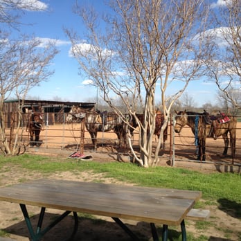 Sleepy Sheep Ranch - Horseback Riding Near Me - Whitewright, Texas Sleepy Sheep Ranch - Horseback Riding Near Me - Whitewright, Texas