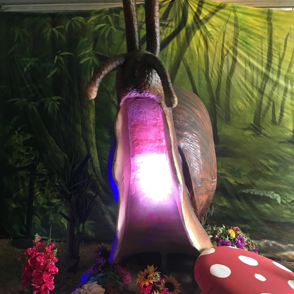 Oregon State Fair - Bugology - Festivals Near Me - Salem, Oregon Oregon State Fair - Bugology - Festivals Near Me - Salem, Oregon