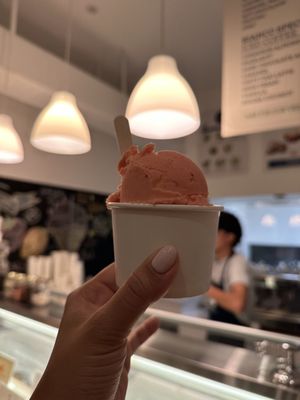 Bianco Gelato Coconut Grove by null