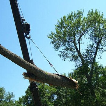 Cutting Edge Tree Services - Tree Services Near Me - Mason City, Iowa