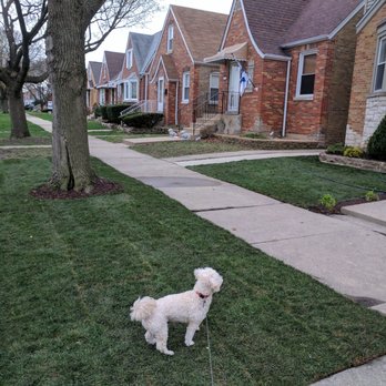 Certified VIP Landscaping - Snow Removal Near Me Certified VIP Landscaping - Snow Removal Near Me