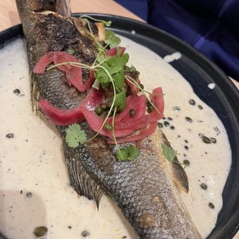 South And Central - Grilled Whole Fish - Latin American Near Me - Charlottesville, Virginia South And Central - Grilled Whole Fish - Latin American Near Me - Charlottesville, Virginia