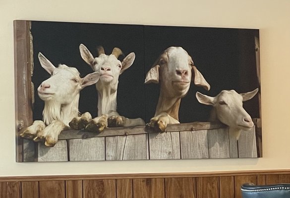 Little Goat Diner by null