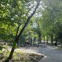 Photo of Hill Street Park