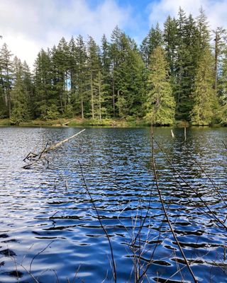 Larrabee State Park by null