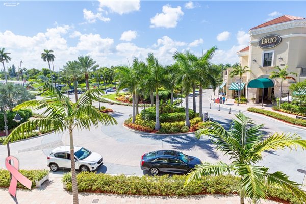 Gulfstream Park Racing by null