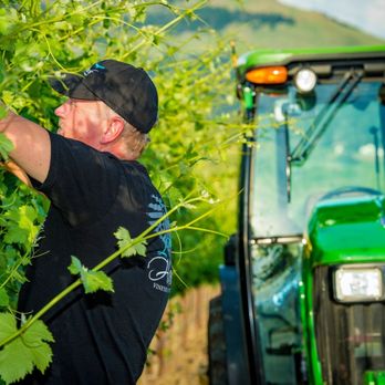 Padigan - Wineries Near Me - Medford, Oregon