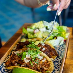 Tacolicious